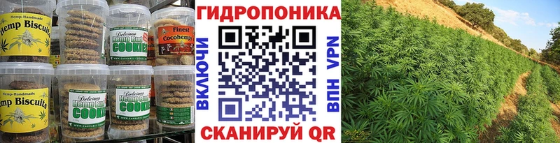 наркотики  Луга  Еда ТГК марихуана 