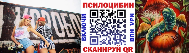 kraken ССЫЛКА  Луга  Псилоцибиновые грибы Cubensis 