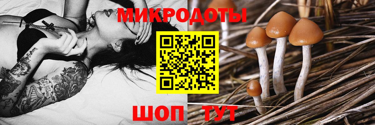 где купить   Вход с VPN  Псилоцибиновые грибы мухоморы  Луга  Галлюциногенные грибы Cubensis 