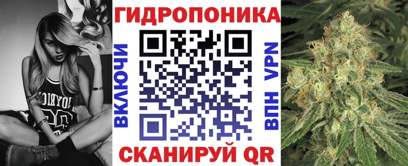 наркота  Луга  Шишки марихуана семена 